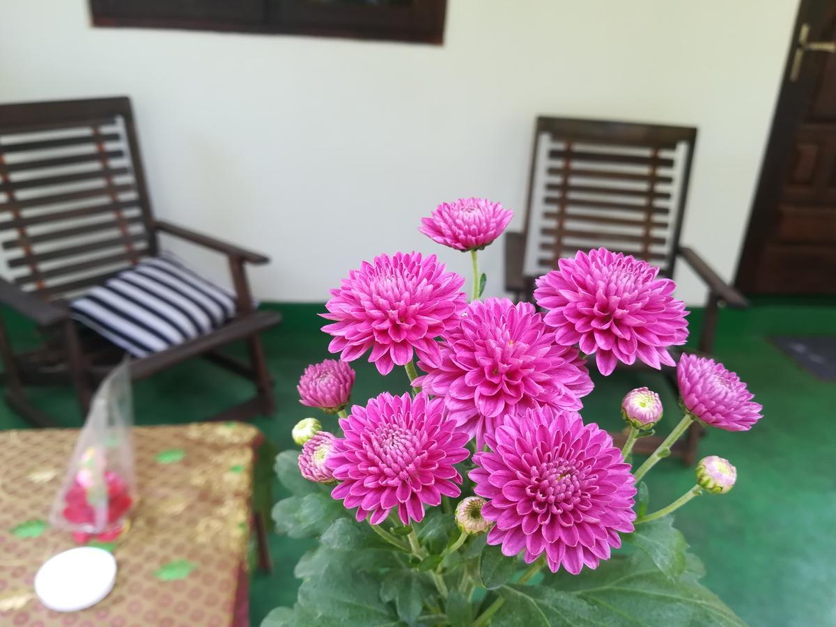 Lakmal Homestay ,10 Minutes To Sigiriya Rock Exterior foto